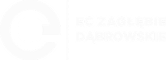 ECZD-Logo-czarne-e1757579482370 1 1